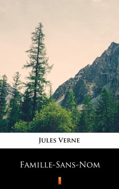 Famille-Sans-Nom (eBook, ePUB) - Verne, Jules