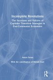 Incomplete Revolutions (eBook, PDF)