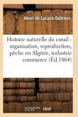 Histoire Naturelle Du Corail: Organisation, Reproduction, Pêche En Algérie, Industrie Et Commerce