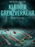 Kleiner Grenzverkehr - Kurzkrimi (eBook, ePUB)