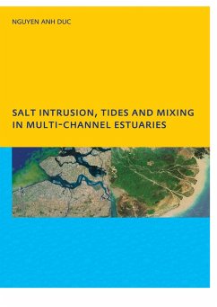 Salt Intrusion, Tides and Mixing in Multi-Channel Estuaries (eBook, PDF) - Nguyen, Anh Duc
