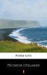 Pêcheur d'Islande (eBook, ePUB) - Bild 1