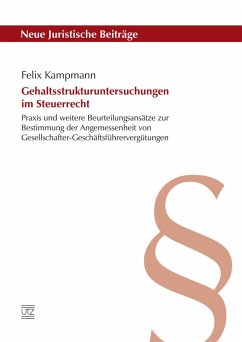 Gehaltsstrukturuntersuchungen im Steuerrecht (eBook, PDF) - Kampmann, Felix