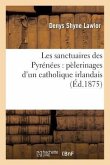 Les Sanctuaires Des Pyrénées: Pèlerinages d'Un Catholique Irlandais