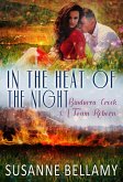 In the Heat of the Night (Bindarra Creek A Town Reborn, #2) (eBook, ePUB)