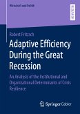 Adaptive Efficiency During the Great Recession (eBook, PDF)