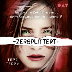 Zersplittert – Teil 2 (MP3-Download) - Terry, Teri