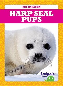 Harp Seal Pups - Nilsen, Genevieve