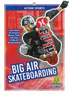 Big Air Skateboarding - Hale, K A