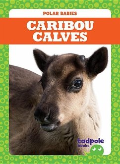 Caribou Calves - Nilsen, Genevieve