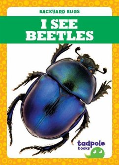 I See Beetles - Nilsen, Genevieve