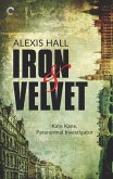 Iron & Velvet (eBook, ePUB)