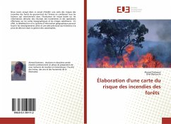 Élaboration d'une carte du risque des incendies des forêts - Dahmeni, Ahmed;Baalouchi, Bilel