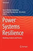 Power Systems Resilience