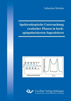 Spektroskopische Untersuchung exotischer Phasen in hochspinpolarisierten Supraleitern - Molatta, Sebastian