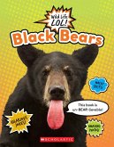 Black Bears (Wild Life Lol!)