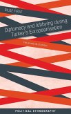 Diplomacy and lobbying during Turkey's Europeanisation