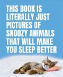 This Book Is Literally Just Pictures of... - Bild 1