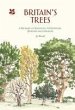 Britain's Trees - Bild 1