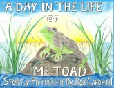 A Day in the Life of Mr. Toad