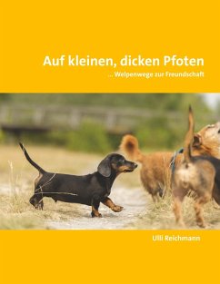 Auf kleinen, dicken Pfoten (eBook, ePUB) - Reichmann, Ulli