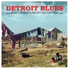 Essential Detroit Blues - Diverse