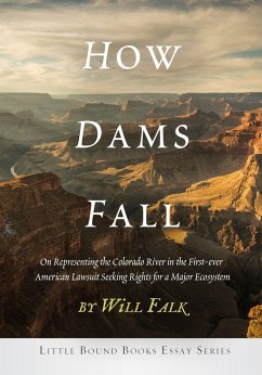How Dams Fall - Falk, Will