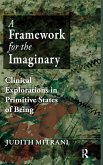 A Framework for the Imaginary