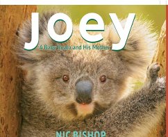 Joey: A Baby Koala and His Mother - Bishop, Nic