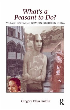 What's a Peasant to Do? Village Becoming Town in Southern China - Guldin, Greg