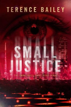 Small Justice - Bailey, Terence