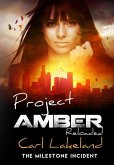 Project Amber