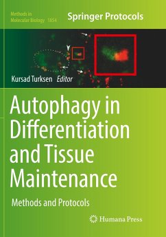 Autophagy in Differentiation and Tissue Maintenance