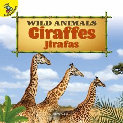 Giraffes - Cole