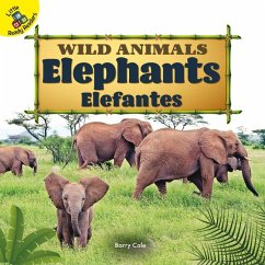 Elephants - Cole