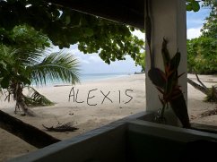 Alexis (eBook, ePUB) - Mensch, Ein