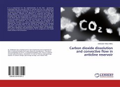 Carbon dioxide dissolution and convective flow in anticline reservoir - Mitiku, Addisalem Bitew