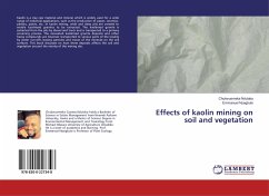 Effects of kaolin mining on soil and vegetation
