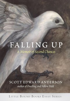 Falling Up - Anderson, Scott Edward