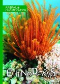 Echinoderms Echinoderms