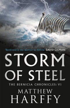 Storm of Steel - Harffy, Matthew