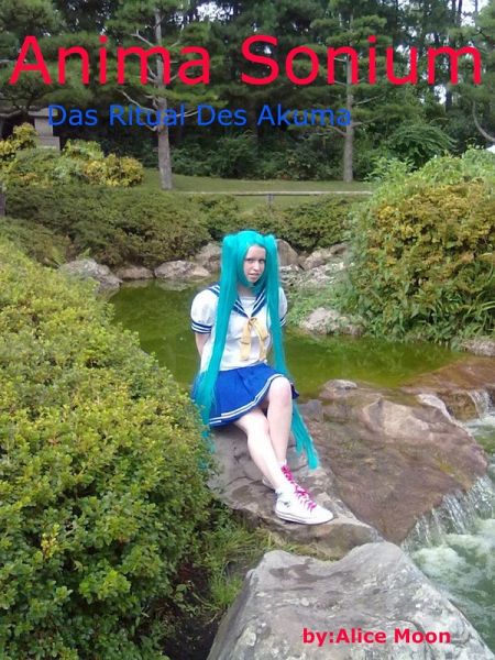 Anima Sonium (eBook, ePUB)