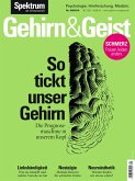 Gehirn&Geist 9/2019 -So tickt unser Gehirn (eBook, PDF)