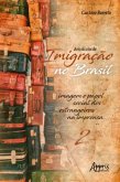 Dois Séculos de Imigração no Brasil: Imagem e Papel Social dos Estrangeiros na Imprensa (Volume 2) (eBook, ePUB)