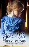 Joe's Wife (eBook, ePUB)