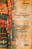 Dois Séculos de Imigração no Brasil: Imagem e Papel Social dos Estrangeiros na Imprensa (Volume 1) (eBook, ePUB)