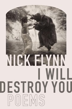 Cover I Will Destroy You (eBook, ePUB)