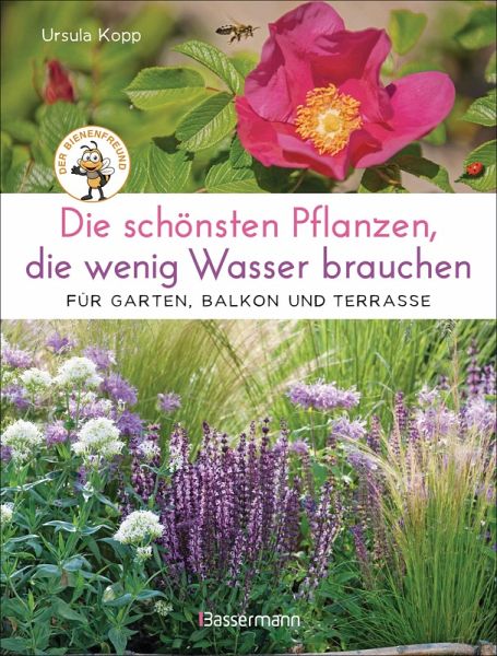 Die schönsten Pflanzen, die wenig Wasser brauchen für Garten, Balkon und …  von Ursula Kopp - Portofrei bei bücher.de