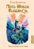 Тайна сгоревшего коттеджа (eBook, ePUB)