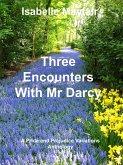 Three Encounters with Mr Darcy (eBook, ePUB)